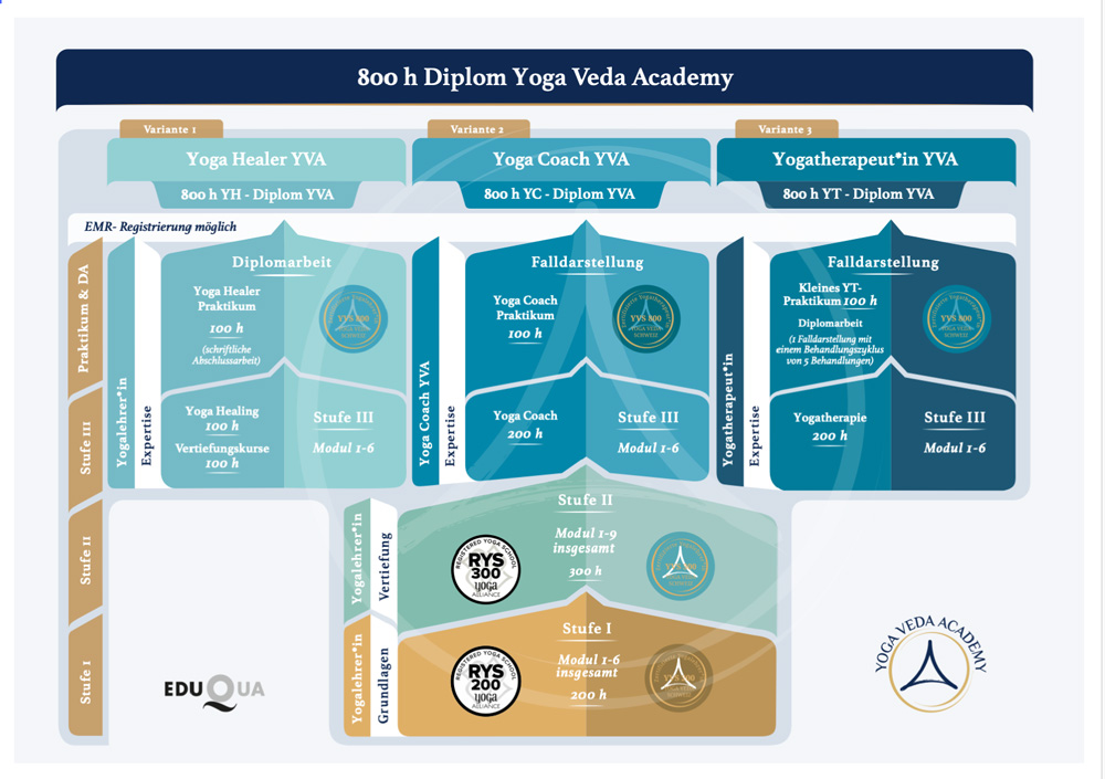 Schematische Darstellung der Yoga Ausbildung 800 h an der Yoga Veda Academy